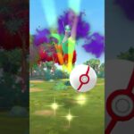 初めてのラティオス戦にて！？色違い？？？#ポケモンgo #図鑑埋め #初ゲット#シャドウポケモン #色違い#イブポケチャンネル