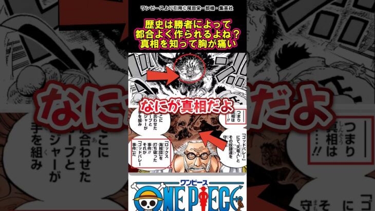 【ワンピース】「勝者だけが正義」ただしムーは違う#ワンピース