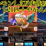 ドラクエウォーク　なかモン１ .３万歩族以上スカウト２１匹＋やかんの魔人紹介