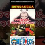 【ワンピース】この人一体なんなんだ？#ワンピース