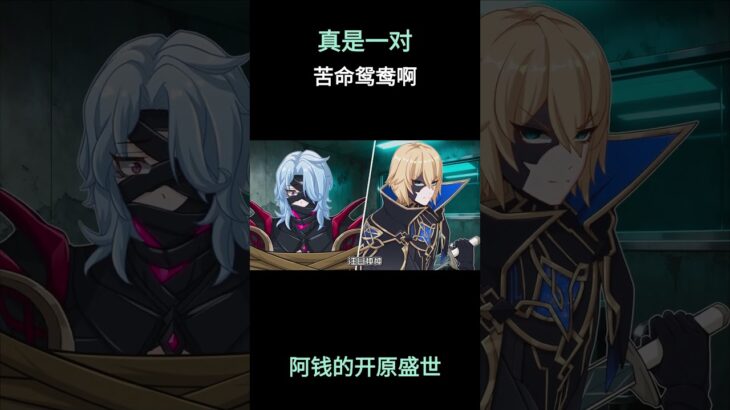 真是一对苦命鸳鸯啊    #原神 #原神二创 #原神挪德卡莱 #原神空月之歌