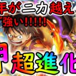 [トレクル]神すぎる超進化ルフィ―＆ロー性能判明! 5周年のぶっ壊れキャラが遂に!!! 活躍必至の性能に!!!!!!!!!!! [11.5周年/絆決戦][OPTC]