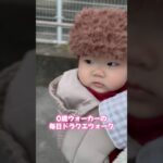 0歳ウォーカーの毎日ドラクエウォーク #ドラクエウォーク #赤ちゃん #dqウォーク #赤ちゃんのいる生活 #ドラクエ #ドラゴンクエスト