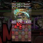 耐えてくれたら…【パズドラ】