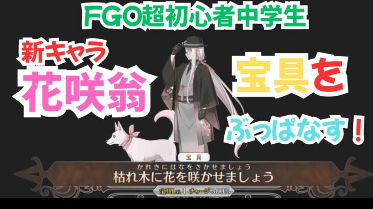 FGO の花咲翁を使ってみた！その性能は如何に！イベントクエストも解説してみました。#fategrandorder #fgo #fgo攻略 #ゲーム実況 #中学生 #ガチャ #フェイトグランドオーダー