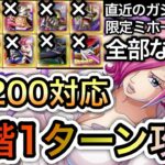 【トレクル】海賊王への軌跡 VSレイジュ Lv.200対応!!超余裕の爆火力!!全階1ターン攻略!!直近のガシャキャラ、限定ミホーク全部なし!!【超スゴフェス】【討伐祭】【Sugofes】