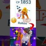 1HP✨Shiny Shadow Raikou pokemon Battel in pokemon Go#soparstart #pokemon #pokemongo #shortsfeed