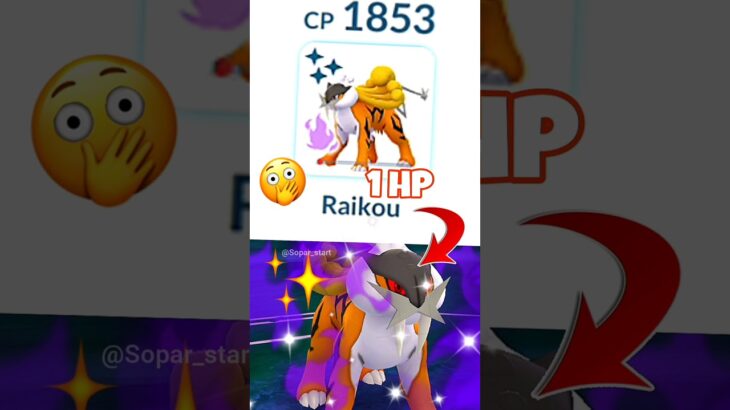1HP✨Shiny Shadow Raikou pokemon Battel in pokemon Go#soparstart #pokemon #pokemongo #shortsfeed