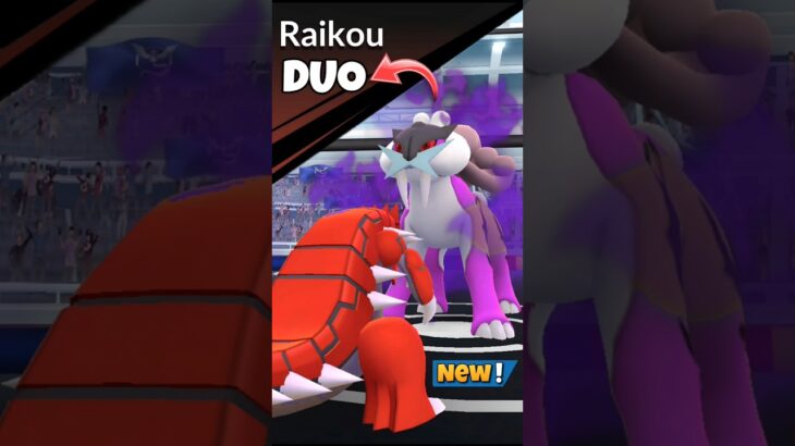 Easy Duo✨️Shadow Raikou Raid in Pokemon Go