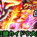 [トレクル]グランドパーティー開幕！初日に色々試してみたが、完凸虹鍵カイドウちょー強い！[OPTC][グランドパーティー]