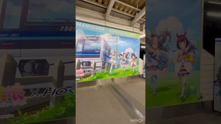 白井市×北総鉄道か×ウマ娘 プリティーダービーコラボに行ってみた！
