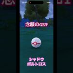 #シャドウボルトロス 念願ゲット！ #ポケモンgo #pokemongo