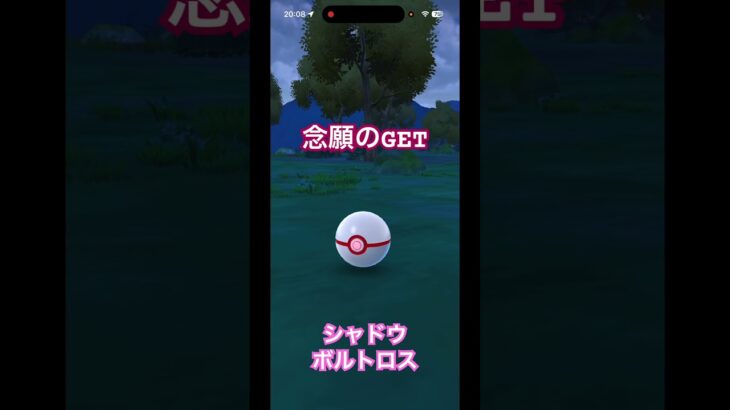 #シャドウボルトロス 念願ゲット！ #ポケモンgo #pokemongo
