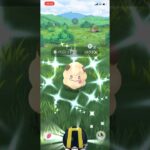 ポケモンGO色違いペロッパフGET！！#ポケモン #ポケモンgo #pokemongo