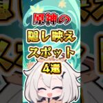 【原神】原神の隠し映えスポット