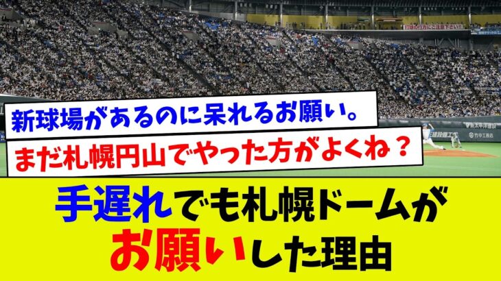 手遅れでも札幌ドームがお願いした理由【プロ野球】【エラー】【札幌ドーム】【なんj】【プロ野球スピリッツa】【村上宗隆】