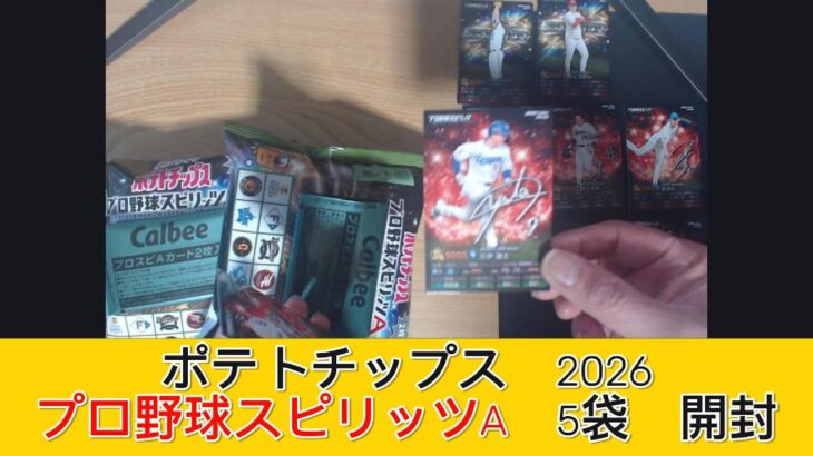2026 カルビー プロ野球スピリッツＡ チップス 5袋　開封 – みづの廃信