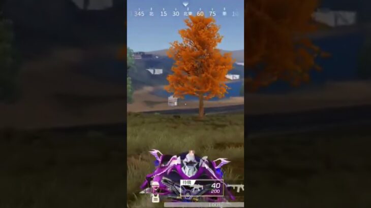 【荒野行動】臨戦態勢の精鋭にBGMを付けてみた。ワイルドシリーズ。