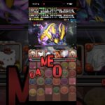 993ターン耐えようかな！！【パズドラ】