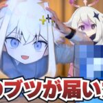 【原神】送られてきた謎の箱の中身は一体…？！コロンビーナの実装を祝って日本各地でオフラインイベントがてんこもり！【シラナミチャンネル】