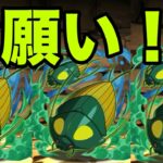 恐怖と絶望の『ゾッダ虫一点狙いガチャ』Part1　リゼロコラボ【パズドラ】