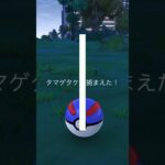 【ポケモンGO】タマゲタケのスポットライトアワーやってきました！　#ポケモン　#ポケモンgo #スポットライトアワー