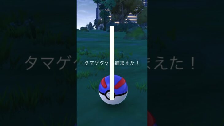 【ポケモンGO】タマゲタケのスポットライトアワーやってきました！　#ポケモン　#ポケモンgo #スポットライトアワー