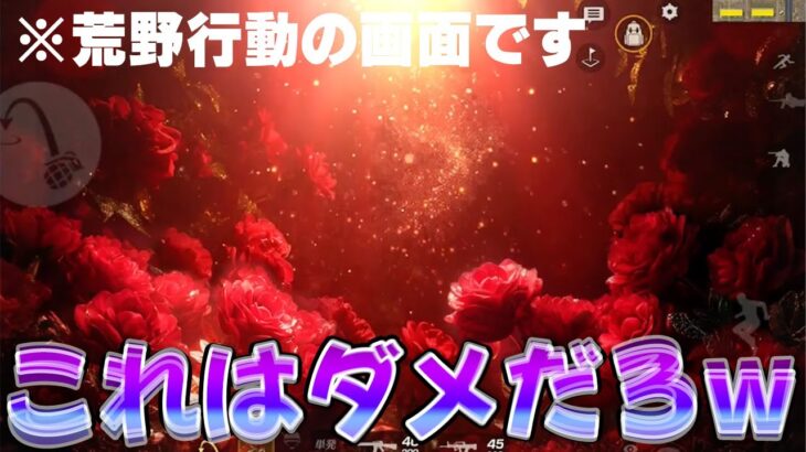 Xで話題になってる薔薇の舞踏会の閃光弾がガチでぶっ壊れてるwwwwww　#荒野行動