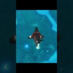 【原神】フォンテーヌの馬が最高にかわいい理由