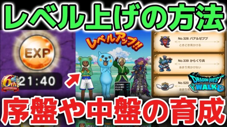 【ドラクエウォーク】新規初心者🔰復帰勢にオススメのレベル上げ育成について！経験値UPアイテムの使い方など含め解説します！【DQウォーク】