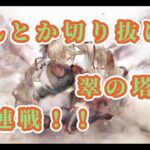 【メメントモリ】　切り抜け（翠の塔）