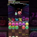 初期メンでパズドラ