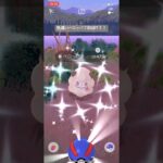 ポケモンGO色違いペロッパフ初GET！！#ポケモン #ポケモンgo #pokemongo