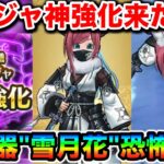 【ドラクエウォーク】ニンジャに神アプデきたー！！超使いやすくなって幸せ！新武器”雪月花”で恐怖レベル再来！