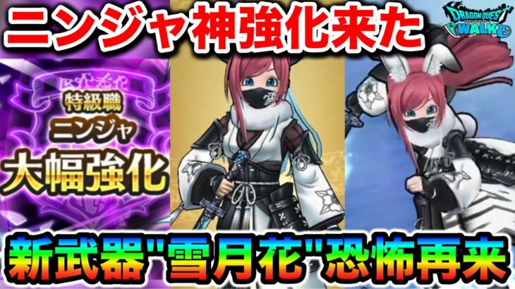 【ドラクエウォーク】ニンジャに神アプデきたー！！超使いやすくなって幸せ！新武器”雪月花”で恐怖レベル再来！