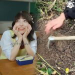 みんなのギャップ萌えする瞬間ってどんな時？😳💘#パズドラ #パズドラゼロ #ショートドラマ #高校生 #青春