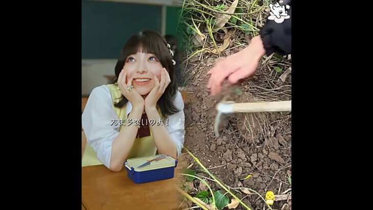 みんなのギャップ萌えする瞬間ってどんな時？😳💘#パズドラ #パズドラゼロ #ショートドラマ #高校生 #青春