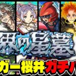 【モンスト】適正続々登場でどう変わった？タイガー桜井の破界の星墓最新ガチパ紹介