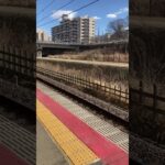 スカイライナー白井駅通過 #ウマ娘プリティーダービー #スカイライナー #北総線 #shorts #鉄道