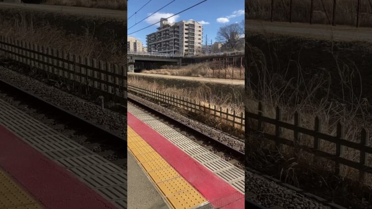 スカイライナー白井駅通過 #ウマ娘プリティーダービー #スカイライナー #北総線 #shorts #鉄道