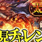 【18時〜】太陽チャレンジ開催！！初見で勝つまでチャレンジ！！【パズドラ配信】