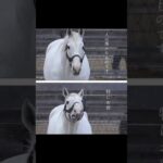 ウマ娘　#ウマ娘 #ウマ娘プリティーダービー #anime #gaming #ゲーム