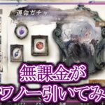 【メメントモリ】無課金がモワノー引いてみた【メメモリ】