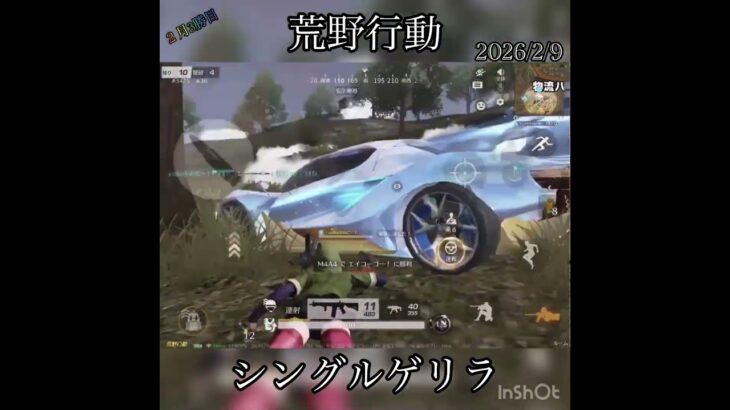 【荒野行動】耐久上手くいった‼️ シングルゲリラ