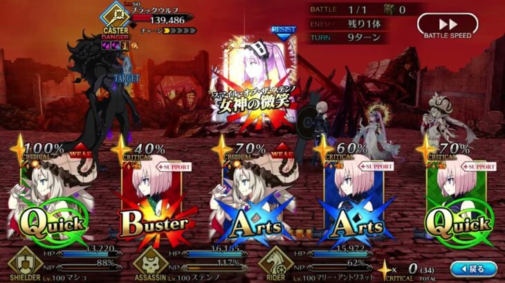【FGO】ステンノ様と行くブラックウルフ決着戦【アヴァロンルフェ】