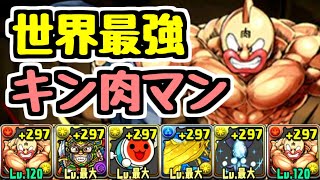 【世界最強】キン肉マンがガチで最強すぎた【パズドラ】