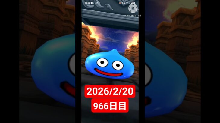 【ドラクエウォーク】永遠のビギナー男のデイリーガチャ2026/2/20【966日目】#ドラクエウォーク#ドラクエウォークガチャ#ガチャ動画#おすすめに乗りたい
