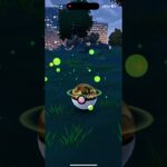 【ポケモンGO】ワイルドエリア2025グローバルででた色違い！？#ポケモンgo色違い  #ポケモン #ポケモンgo #pokemongo #pokémongovideos #Wild Area