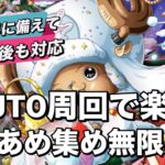 【トレクル】AUTOでOK！チョッパー船長で無限わたあめ周回編成！