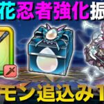 【ドラクエウォーク】雪月花総合評価・ニンジャ強化について!! ギガモンは10連戦行きます!!【DQW】